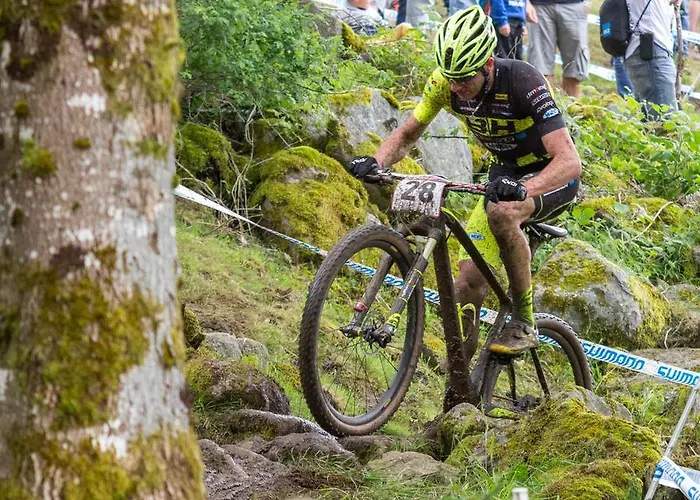 Διαμέρισμα L'escale Bains-les-Bains